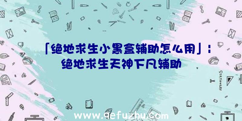 「绝地求生小黑盒辅助怎么用」|绝地求生天神下凡辅助